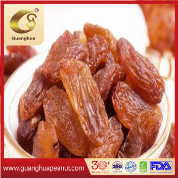 Factory Price of Dried Sultana Raisin New Crop